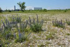 UBZ_Aussen1_klein.jpg desc