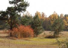 UBZ_Aussen2_klein.jpg desc