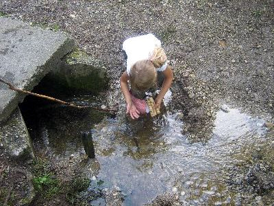 goeggingen2.jpg desc